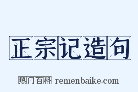 正宗记造句是什么意思的图片